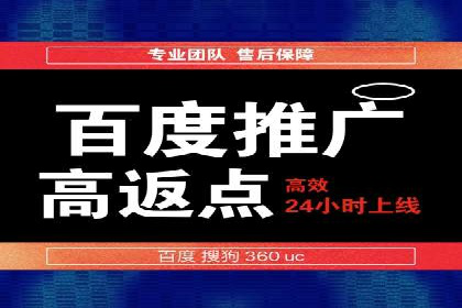 竞价广告投放技巧与案例分析
